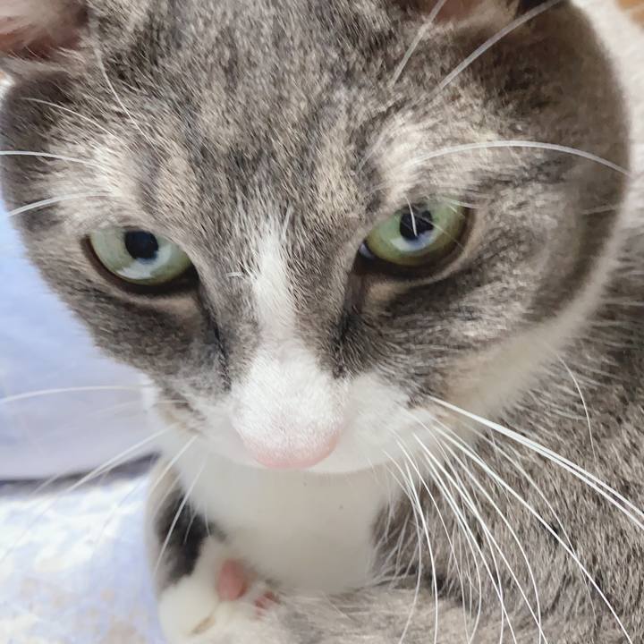 8f6bf657 f6b4 4c24 9fb3 9d22879d66cf 1597840499555