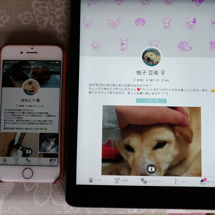 8f6c24e8 885a 4023 9361 8c03b757e310 1519278684677