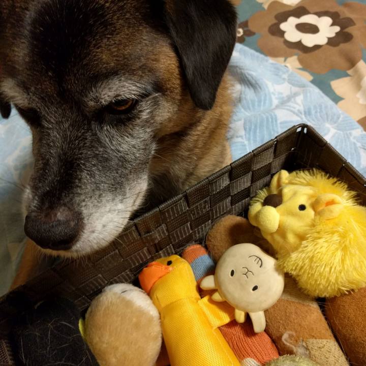 8f6c28e1 381a 4c27 afa0 9341eeaeadaa 1686531469312