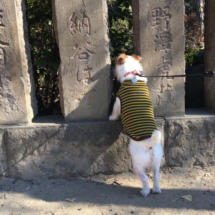 8f6c2e3f 4593 4834 982c 1cb17dc68633 1547431236313