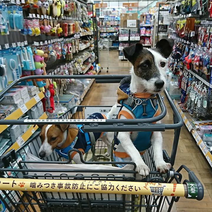 8f6c3c76 6721 4fc7 a63d 29d3be2e5fe6 1547882311364