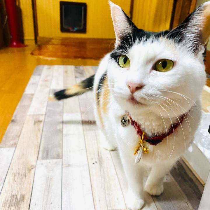 8f6c43c4 1319 4169 8268 1871e5a5b2e0 1705829071317