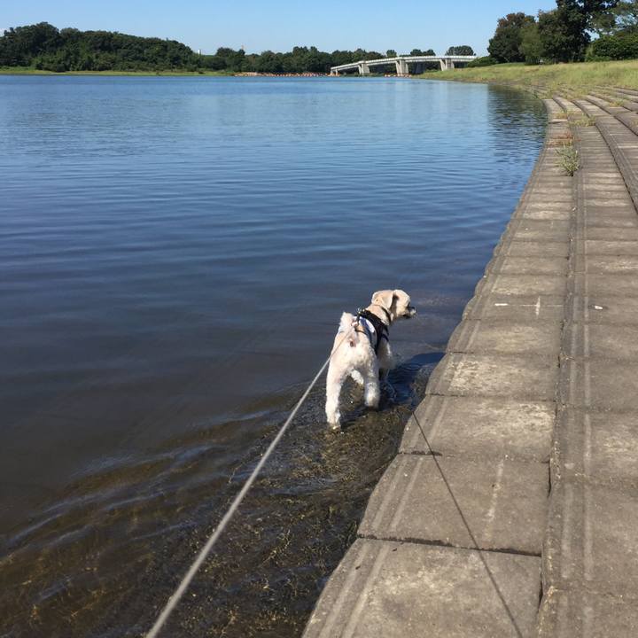 8f6c5eb9 88d9 4c2f a748 935a43be03df 1538118979238