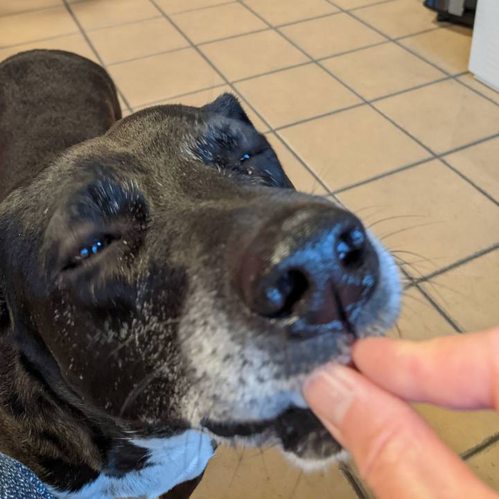 8f6c80d5 5af2 4737 8c9e 9254435cfbba 1708211536305