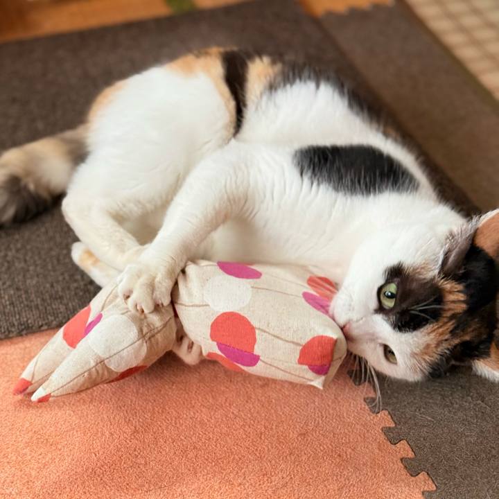 8f6c881e f811 460d bfbb 8b9cd1f0f5a2 1734834219962