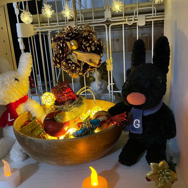 8f6c95bf fac7 47ed b898 2502ce3e31d8 1671192103199