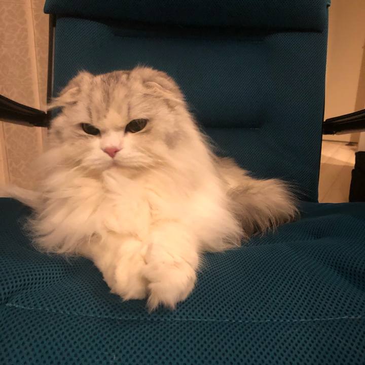 8f6ce74e c6e7 4e08 9548 88a19ac9f5cd 1642166169169