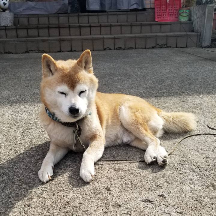 8f6cf56b c2d9 4619 9b0f abff6382f9eb 1707959403247