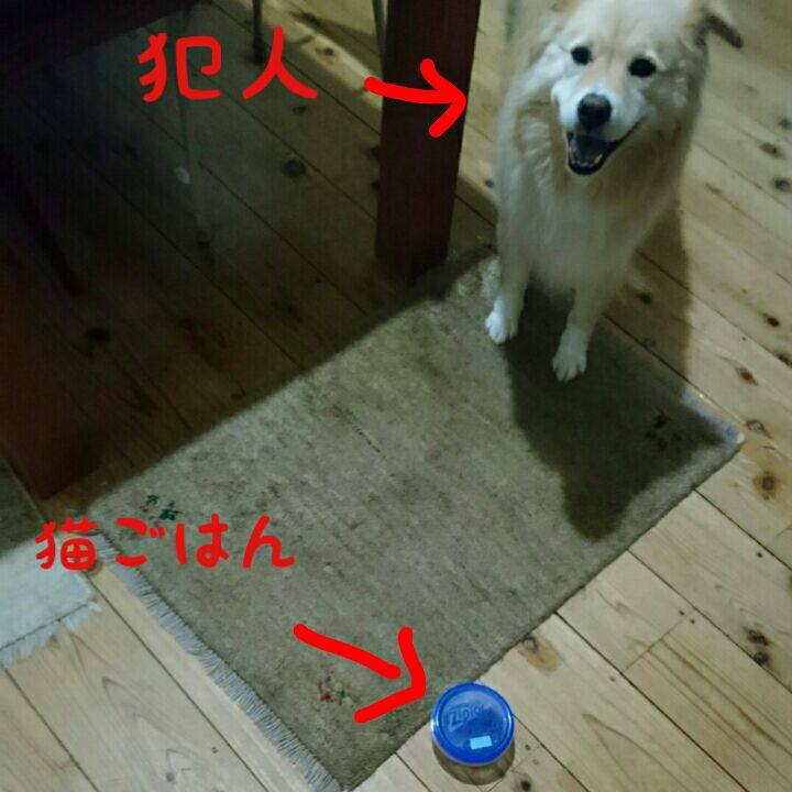 8f6d0064 b689 49c4 a7d0 30c45d70e71e 1539272659719