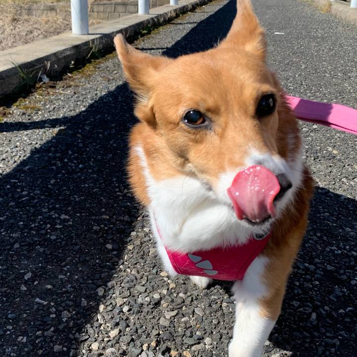 8f6d0f04 f6d7 4b38 bc43 ef89ba99aa31 1709346456844