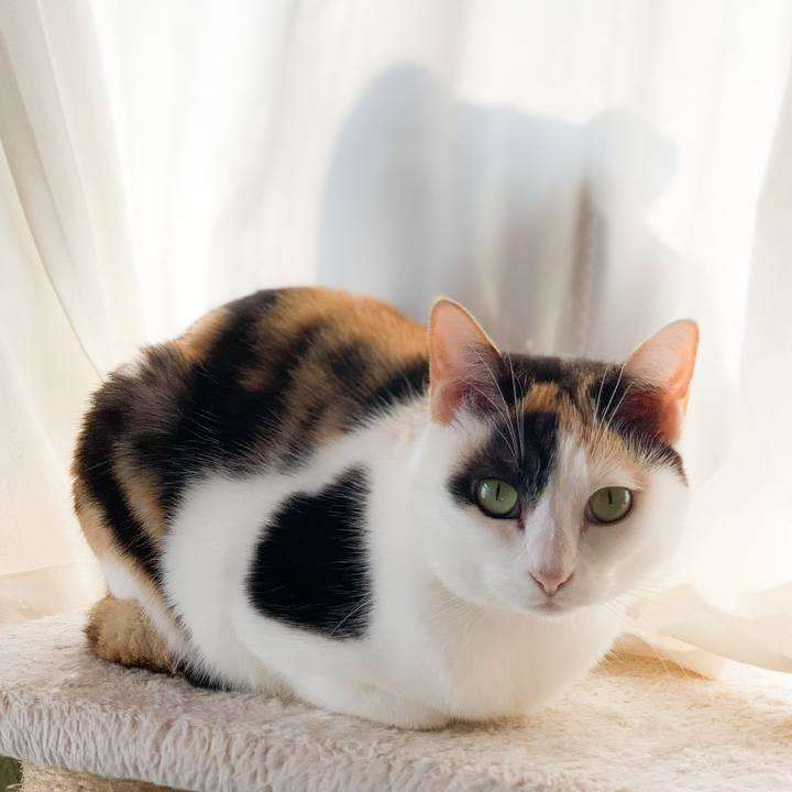 8f6d4058 f329 4557 990b 9bd8f100c8e6 1578448444602