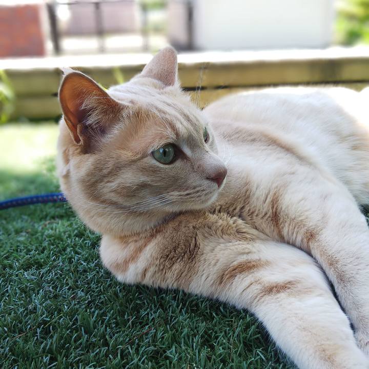 8f6d53d5 960f 46fa 9a7d ed9870866fd0 1622524450941