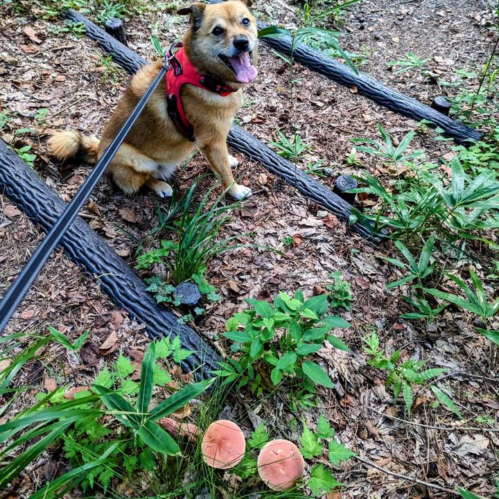 8f6d7410 271f 4eee 8c16 920a1a526a92 1693042348109