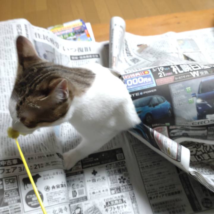 8f6d74c1 5fcf 4ee0 bbd7 f921c7d879fc 1647595391434