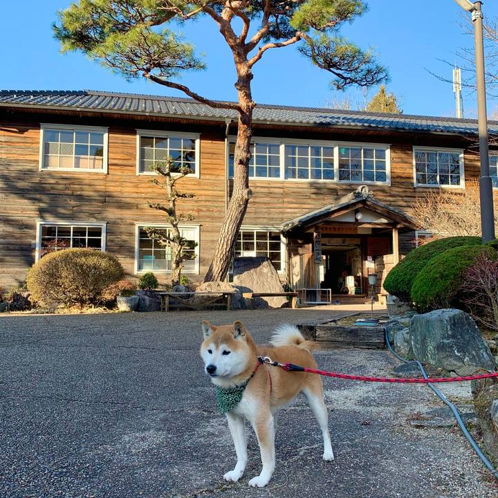 8f6d7a38 659f 4eb0 9006 d2a5bbfd1181 1677755393450