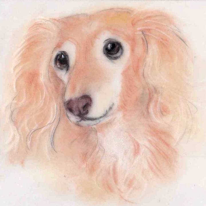 8f6d7d8d cbc9 4bb6 a716 9f00d283750d 1644337744648