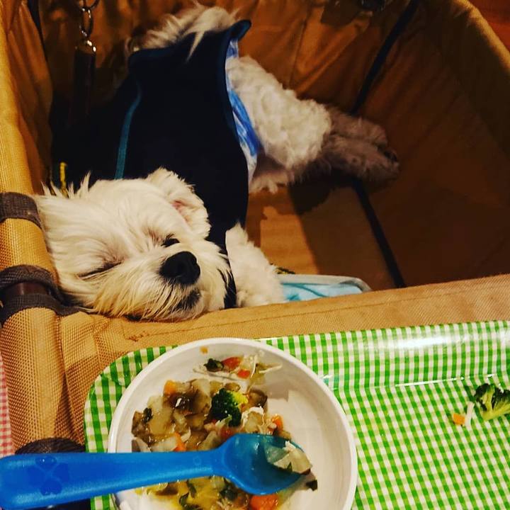 8f6d9bb6 2c50 4be8 8d5a dfdb3c86d252 1605358901621