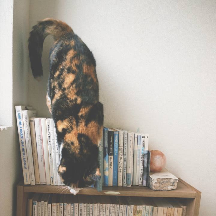 8f6d9cba 8197 4f85 b262 960553321d76 1758578339584