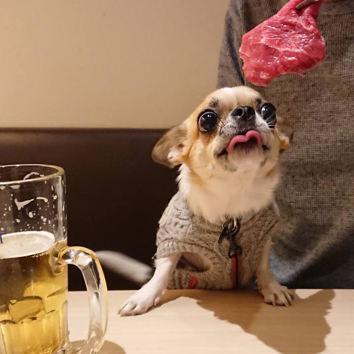 8f6da4be 1814 4a0f a5e8 fef772470225 1573295784633