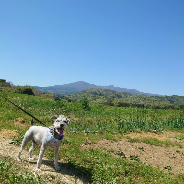 8f6dc7d9 e862 41cb 918c 89db360ee31f 1777095494465