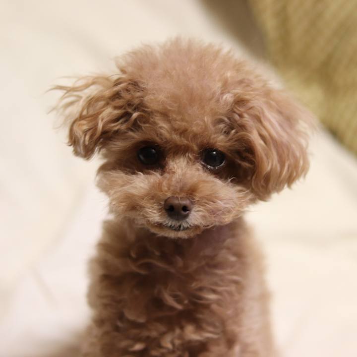 8f6ddb4b fccd 439b 9f33 3948460d0b68 1554896312552