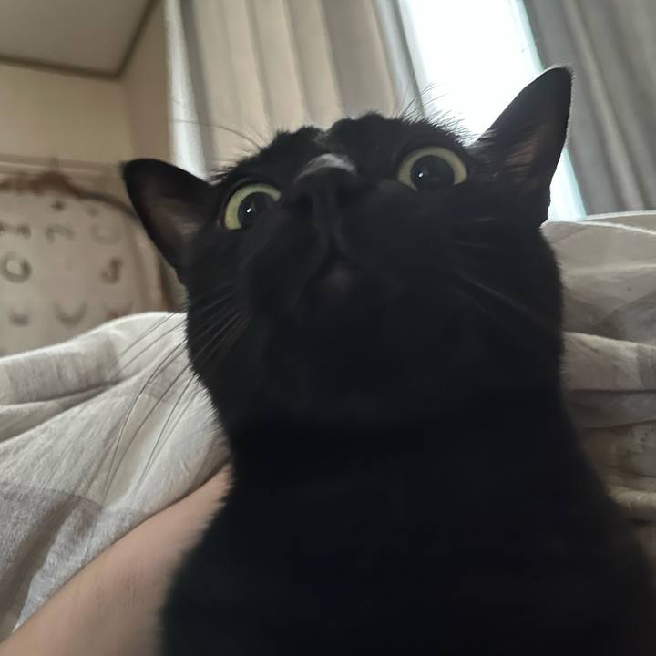 8f6e0bd7 3d46 41c6 aa04 1e5ebe555a66 1697757464400