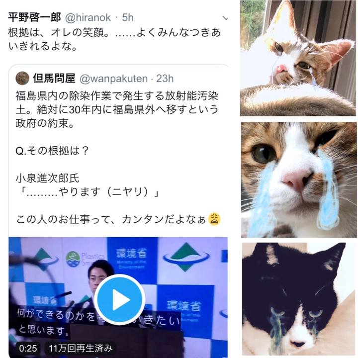 8f6e55c6 44f4 41ed a0a2 98accb61aaab 1568544326046