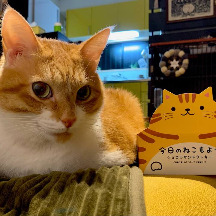 8f6e6dcc ff24 44cd 9e2c 0554ce6dbf4e 1680135155017