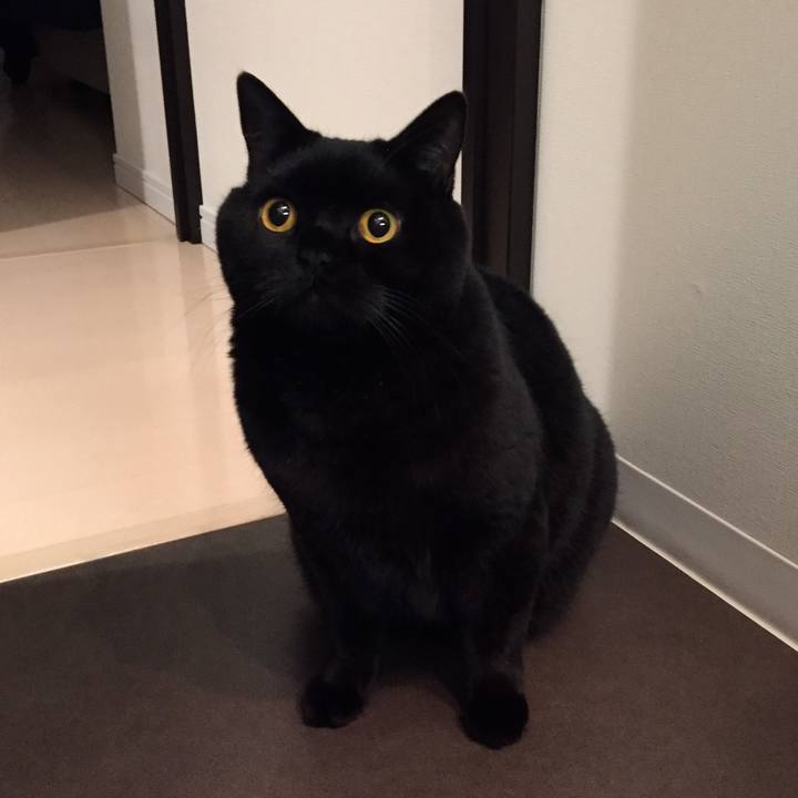 8f6e7801 bfc7 48bf 9629 747164959584 1576332031851