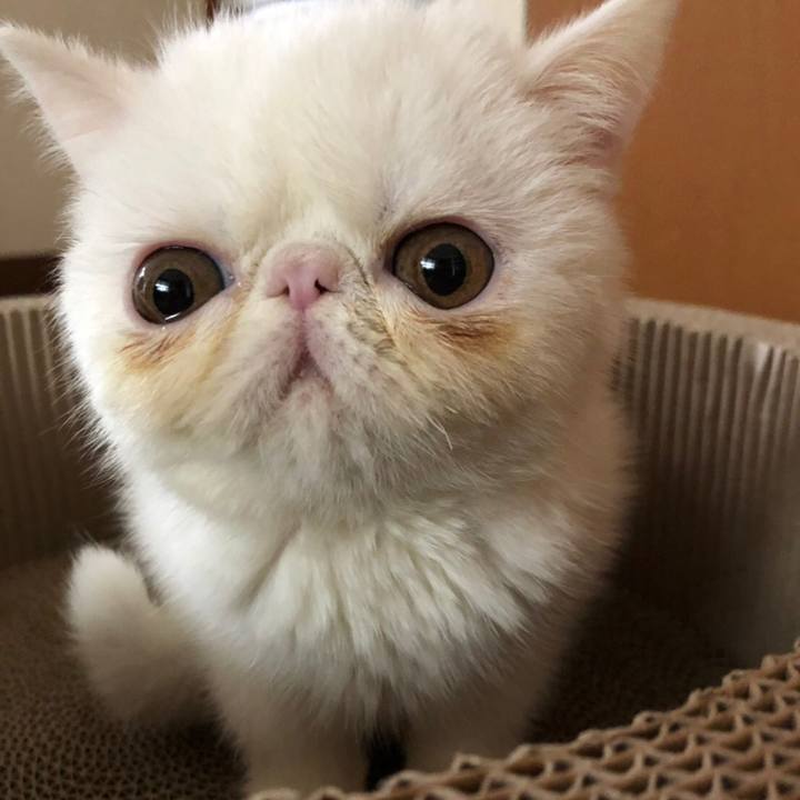 8f6ea67f e07c 4c10 b210 bae5855c1124 1545633790878