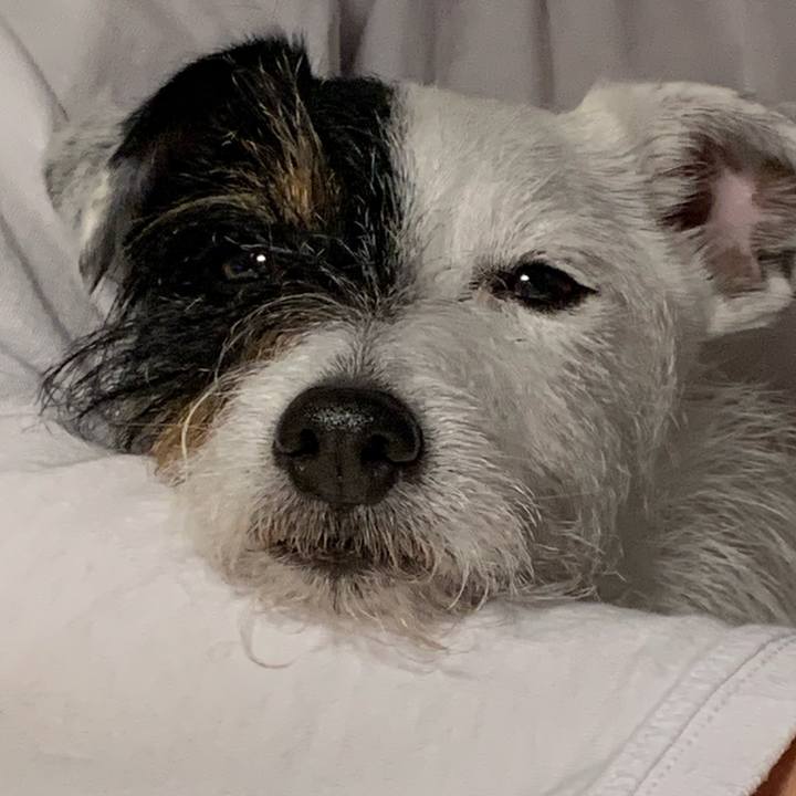 8f6ec350 0342 478e b7ad 60c4bc4d4185 1651223038061