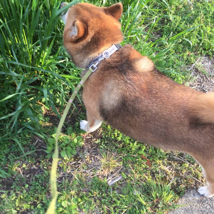 8f6ec6a4 2eb7 454b 998e fab8791180f7 1587457903406