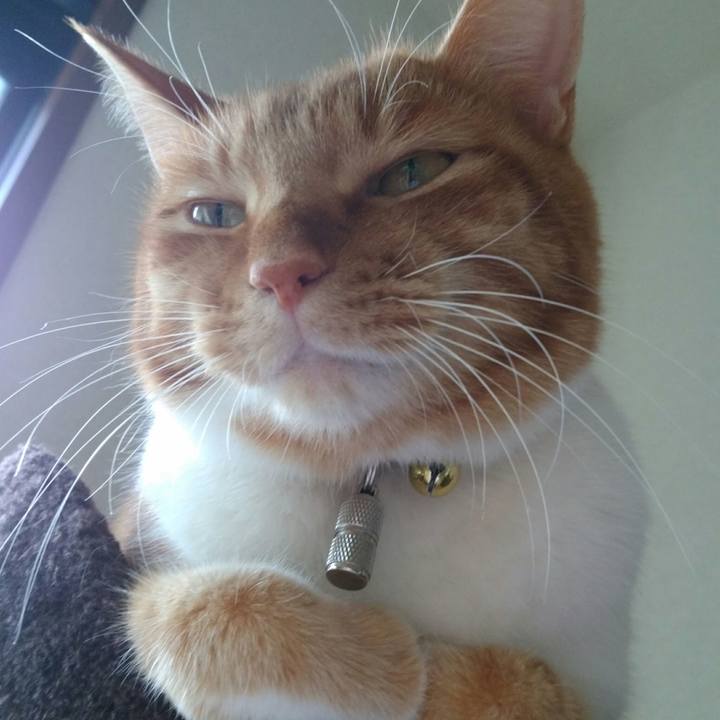 8f6ed009 57f4 4716 924f 7c5c664f4831 1574145247464