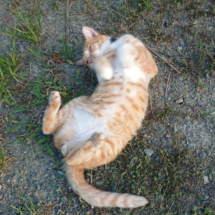 8f6ee241 9d1d 4aee 8447 d8a8c29450b5 1564691917216