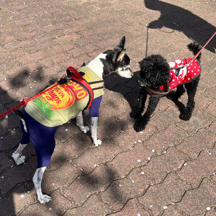 8f6f0efb 180c 4e3d bb2e 6aaf8137577e 1649470472926