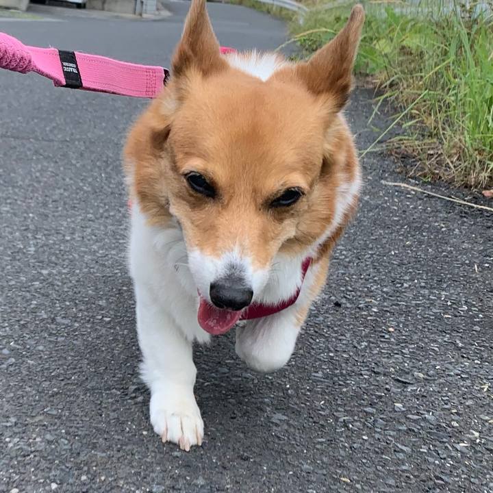 8f6f13b7 d39e 495b b1c3 4c8b3af54f1b 1717295126813