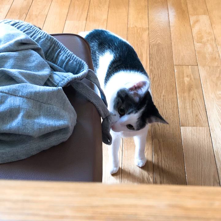 8f6f1c52 b377 4478 b7cf 1dab7ff5f03b 1628467388113