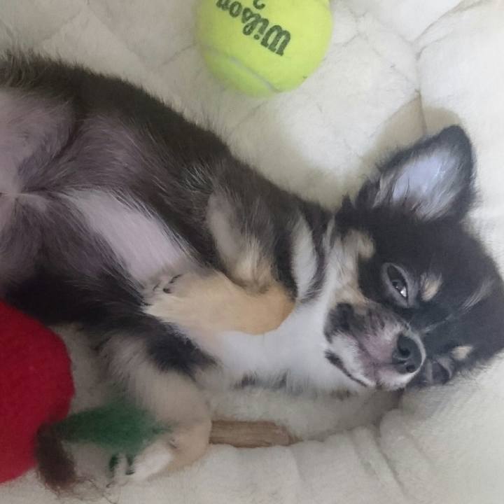 8f6f2a80 b488 4e6a aa6c 4fb53909b43b 1507821617656