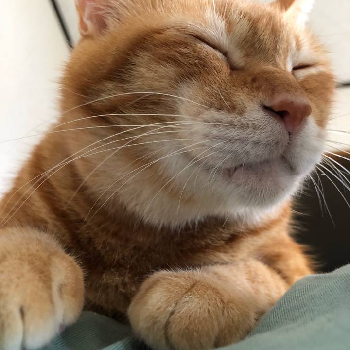 8f6f64d0 18f1 43f8 a5dc 6dd0ebbb73a5 1628924359284