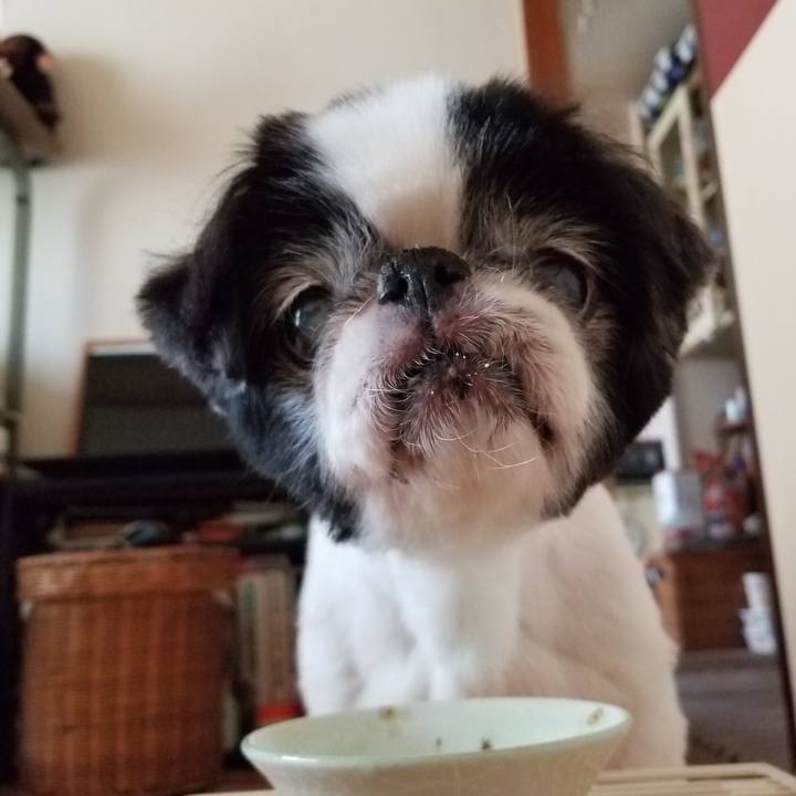 8f6f7df7 1198 4d58 bf12 de315ff90bd6 1598081580583