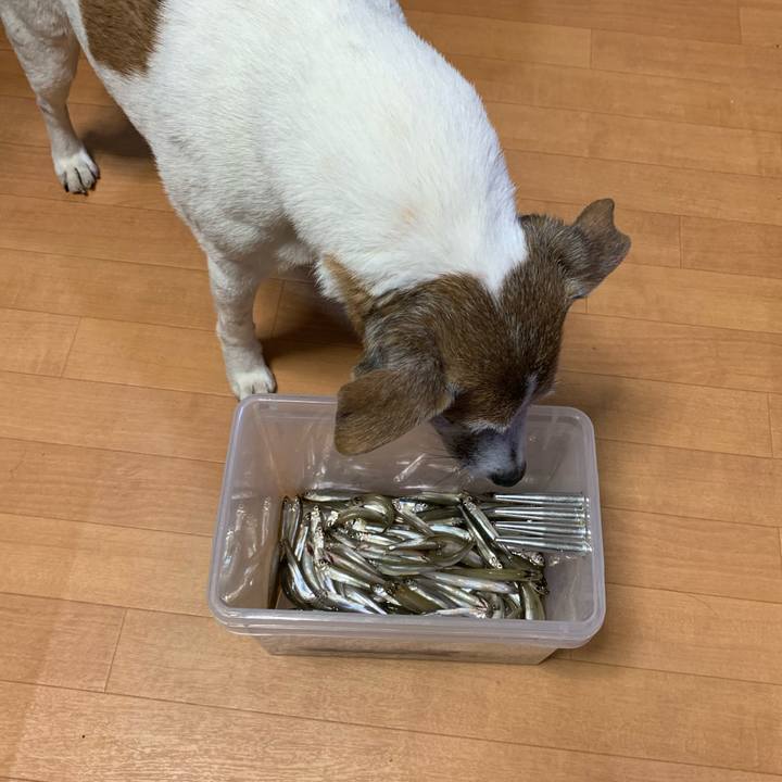 8f6fc017 2725 4061 875a 050dd1115eb5 1608288875518