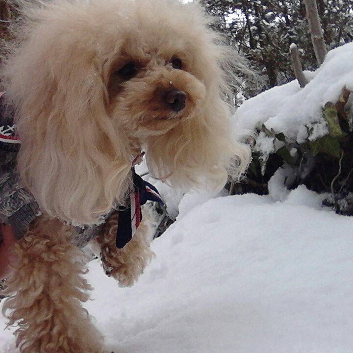 8f6fc231 06e9 4091 a29e c22d1995479a 1516784337060