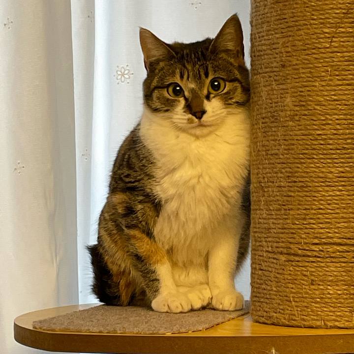 8f708dc0 8083 4781 8510 a8f1e257f15e 1644322519271