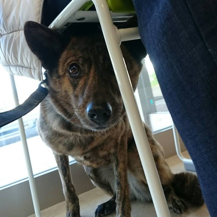 8f70b08f d85d 43fc bfed 628bfef0b865 1512189832150