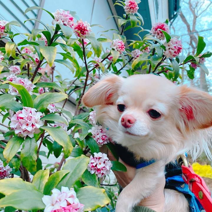 8f71009b 244f 4399 a63f dce986688c16 1646820584879