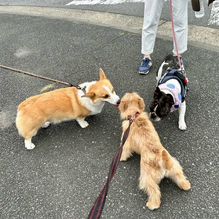 8f711bb3 76e3 4cd0 9b67 d2dd216d1c17 1720663012947