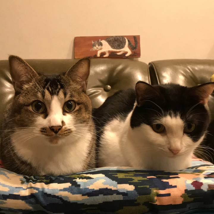 8f713459 7031 4014 b95d 0aa97f57e2c8 1541682505169