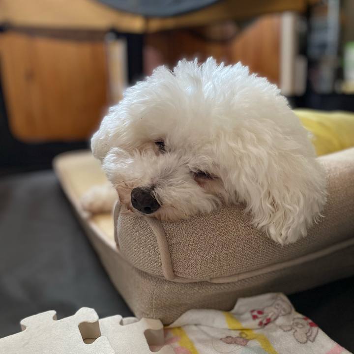 8f715be8 9885 4d9d 9f31 20fa7f088c19 1714285554422