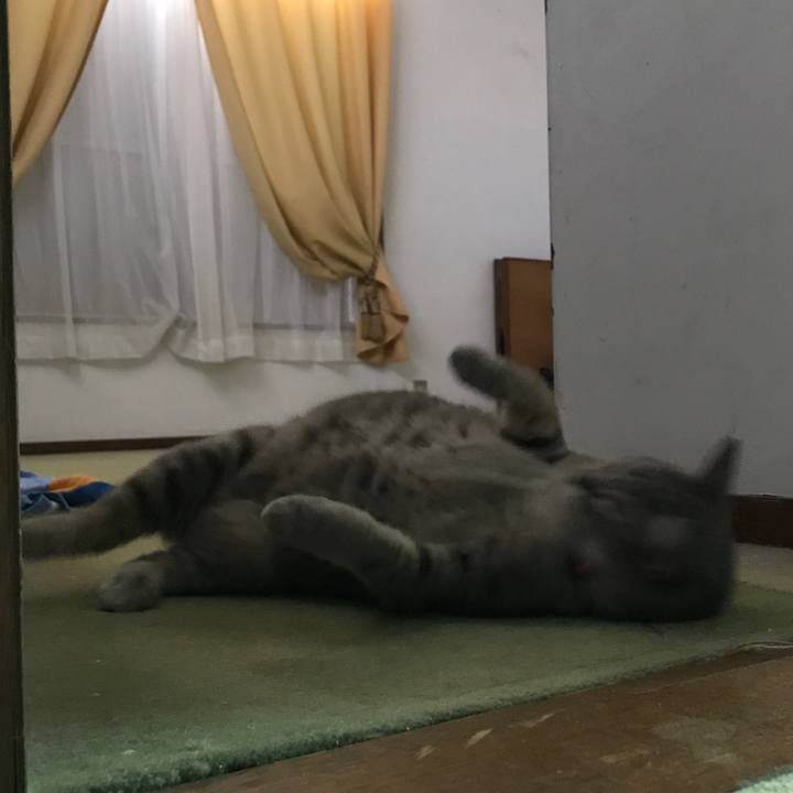 8f718a68 264d 482a 9221 ce5e9f16845f 1585216801655