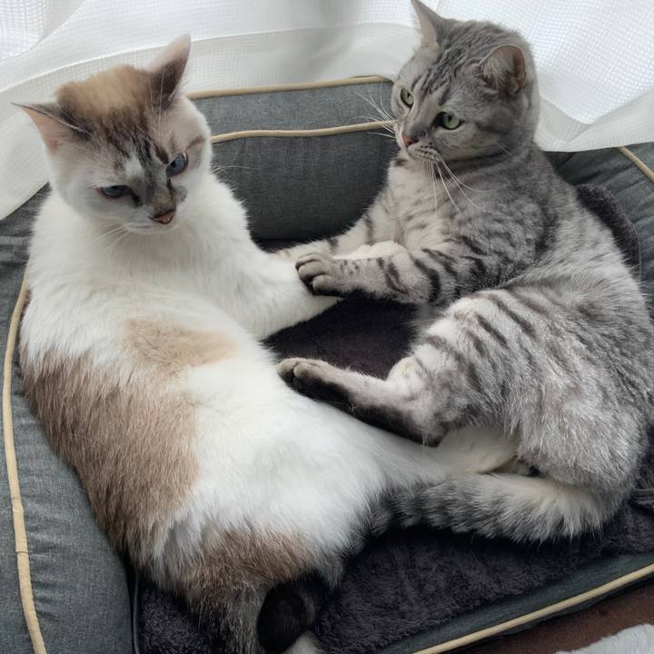 8f71af8c 3f39 4bbf bf4a 77226f7abe73 1666830908505